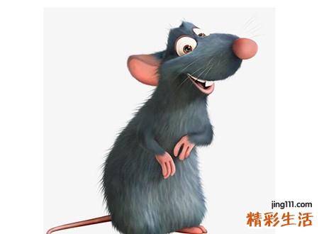 梦见老鼠在我身边乱跑