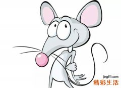 梦见老鼠好不好，女人梦见老鼠是胎梦吗