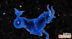 摩羯男会被哪种女孩拿下 摩羯男和什么星座最配