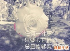 4个字古风诗意唯美名字，洋气撩人的文雅抖音网名