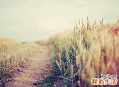 6字古风古韵网名，绝美诗意带有遗憾的六字ID