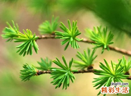 来自古诗词中的惊艳名字,适合做网名的古诗词