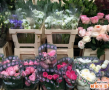 天蝎座和天蝎座在一起会怎样 天蝎座和什么星座在一起好