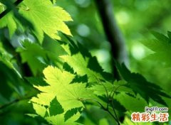 低调有吸引力的简单昵称，成熟有内涵的微信网名