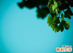 英国稀有好听的神秘姓氏，有贵族血统的英文名字