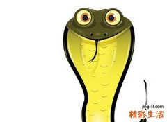 梦见三条大蟒蛇一起来攻击自己