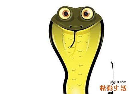 梦见三条大蟒蛇一起来攻击自己