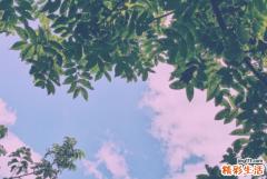 怎么看月亮星座 月亮星座代表什么