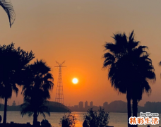 处女座男生的性格 处女座男生配对星座