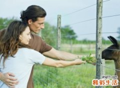 牛跟马婚姻相配吗，男马女牛能过一辈子吗