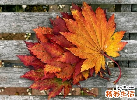 外国人欣赏的英文名，老外眼中好听的欧美名字