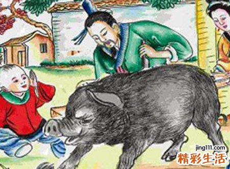 梦见黑猪进家好不好，做梦梦到又大又壮大的黑猪