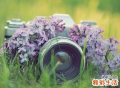 北欧小众有深意的英文名，比较有意义的英文网名