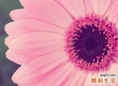 正能量微信昵称，心态好阳光积极的网名