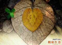 最火最新潮的微信网名，让人过目不忘的新潮昵称