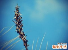 干净好听的四字昵称，4个字网名好听又吸引人