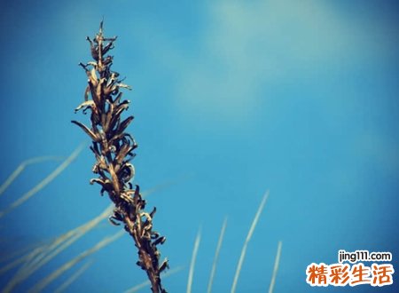 干净好听的四字昵称，4个字网名好听又吸引人