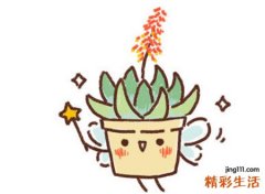 简单旺财的两个字微商昵称，二字森系提升运气的网名