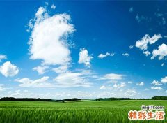 梦见蓝蓝天的天上一朵云