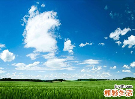 梦见蓝蓝天的天上一朵云