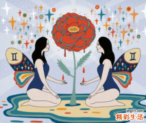 双子座最佳配对星座 双子座是什么象星座