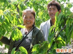 蛇和龙相冲吗，生肖龙和蛇是上上等婚姻