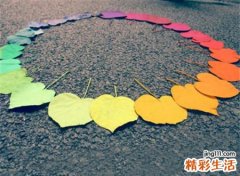 2019年五行属什么命，19年土命猪五行缺啥