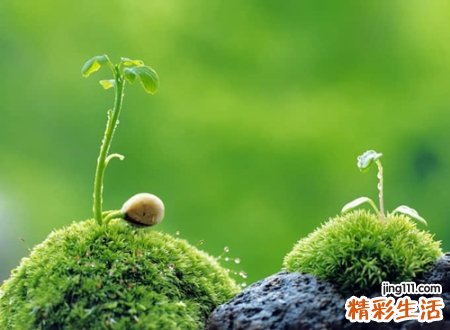 最火最好听的微信昵称，经典独一无二的个性网名