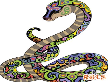 梦见黑蛇是什么意思，女人梦见黑蛇预示着什么