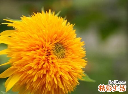有深意的微信昵称，今年最伤感的微信网名