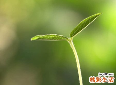 最火爆的快手热门昵称，独一无二的最酷快手网名