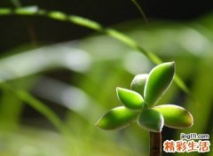 激励自己奋斗的网名，带来运气最好的微信昵称