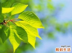 阳光正能量微信网名，简短阳光的微信奋斗昵称