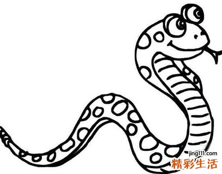 女人梦见小黑蛇预示着什么，女人梦见黑蛇是好是坏