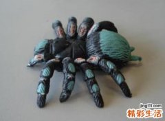 梦见黑蜘蛛预示什么，做梦梦到好多黑蜘蛛到处爬