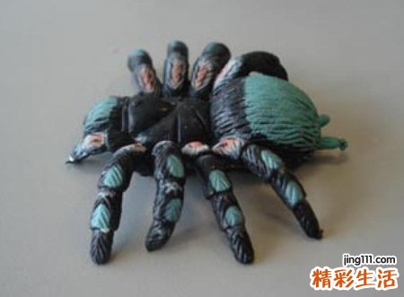 梦见黑蜘蛛预示什么，做梦梦到好多黑蜘蛛到处爬