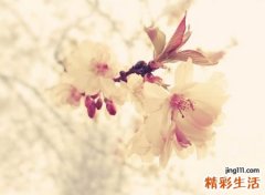 有意境的古风二字网名，唯美清新淡雅的2个字昵称