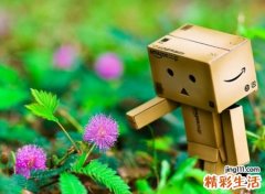 非常清新独特的网名，气质小清新微信昵称