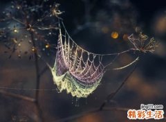 最独特简单的网名，简洁朴实的个性名字