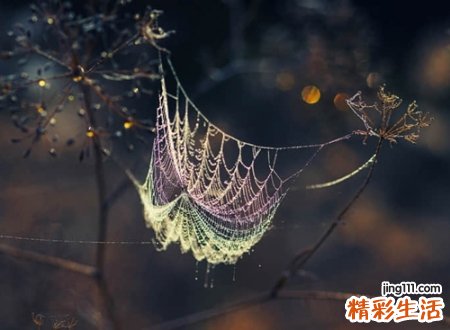 最独特简单的网名，简洁朴实的个性名字