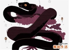 孕妇梦见黑蛇是胎梦么，做梦梦到黑蛇生男孩准吗