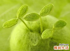 好听温柔的qq个性名字，温柔到爆的神仙网名