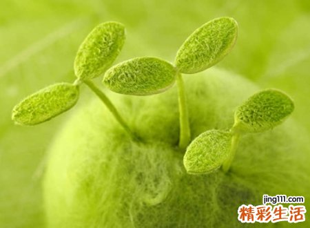 好听温柔的qq个性名字，温柔到爆的神仙网名