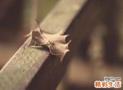 全网独一无二高冷的二字网名，文艺有内涵的2个字微信名字