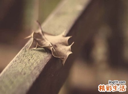 全网独一无二高冷的二字网名，文艺有内涵的2个字微信名字