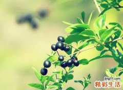 充满阳光的微信昵称，一看就暖心的温暖网名