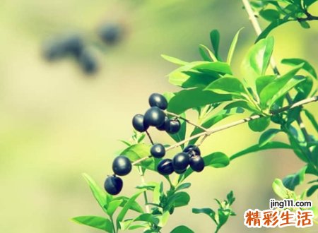 充满阳光的微信昵称,一看就暖心的温暖网名