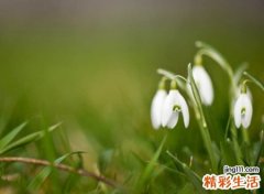 简单朴素的独特昵称，今年最流行的qq网名