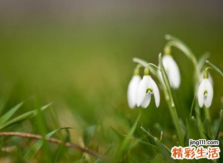 简单朴素的独特昵称，今年最流行的qq网名