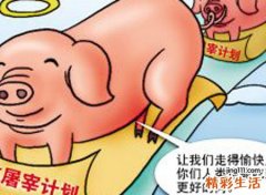 梦见大肥猪有什么预兆，女人梦见白色大肥猪